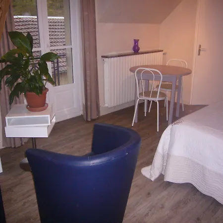 オ ストゥジオ デュ パルク プロンビエール・レ・バン