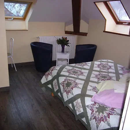 アパート オ ストゥジオ デュ パルク プロンビエール・レ・バン